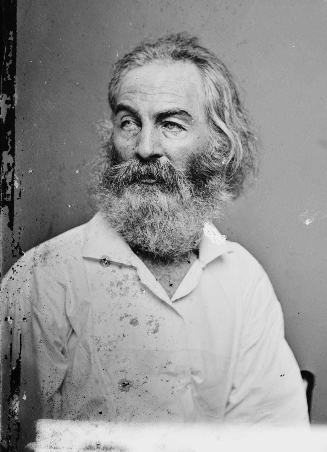 Walt Whitman v době vydání <em>Listů trávy</em>, autor: Mathew Brady